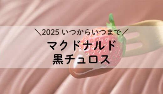 ひとくち黒チュロス 2025年はいつからいつまで？販売期間情報